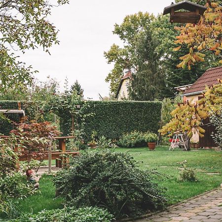 Pannonia Apartment Göd Zewnętrze zdjęcie